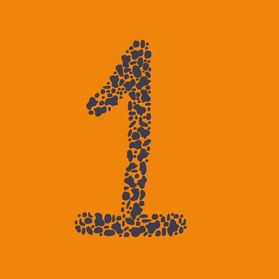 You are currently viewing 1 – La première étape pour créer son site WordPress