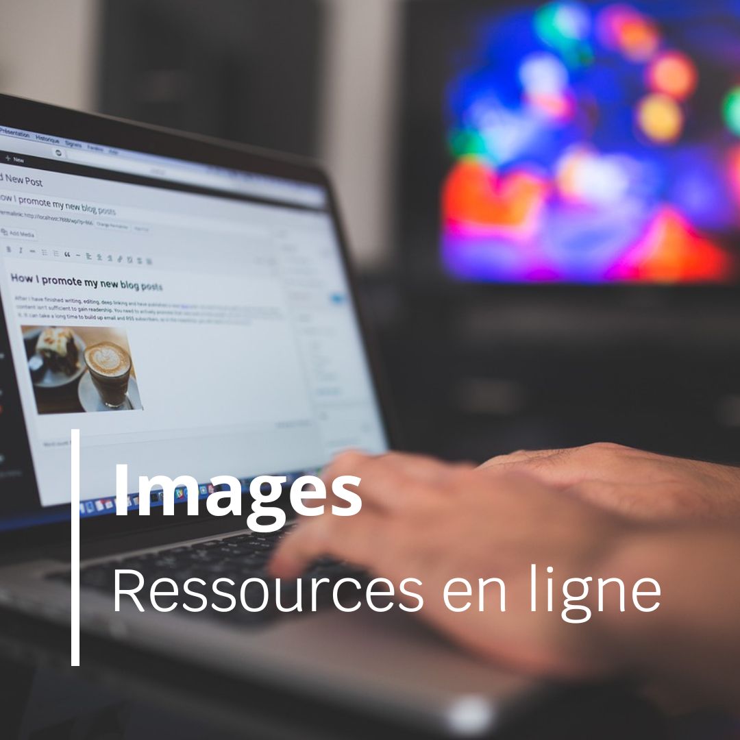 You are currently viewing Les images : ressources en ligne