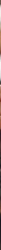 Le favicon